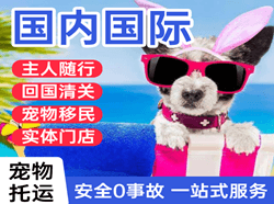 阿拉善机场托运国际宠物托运 【国